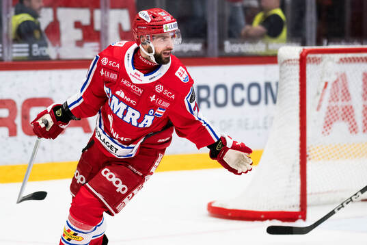 Timrås Robin Hanzl