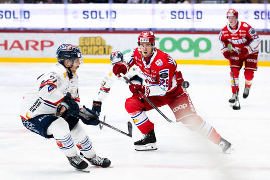 Timrås Filip Hållander