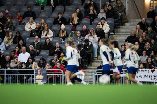 Spectators in the stands at a training session