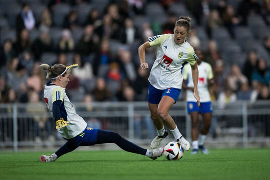 Goalkeeper Jennifer Falk and Filippa Angeldahl of Sweden of
