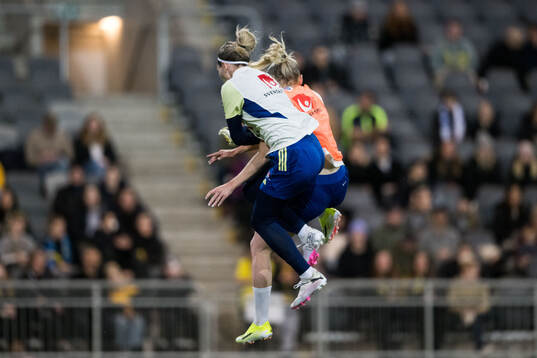 Goalkeeper Jennifer Falk and Stina Blackstenius of Sweden