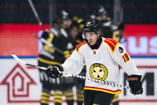Brynäs Tyler Kelleher deppar