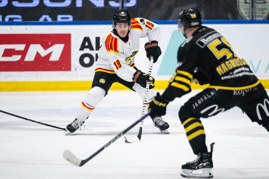 Brynäs Tyler Kelleher