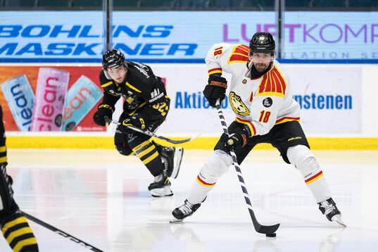 Brynäs Anton Rödin
