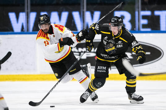 Brynäs Tyler Vesel och AIKs Oscar Öhman