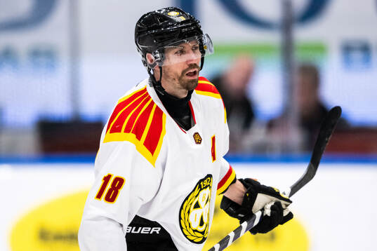 Brynäs Anton Rödin