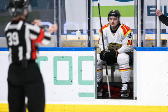 Brynäs Karlis Cukste deppar