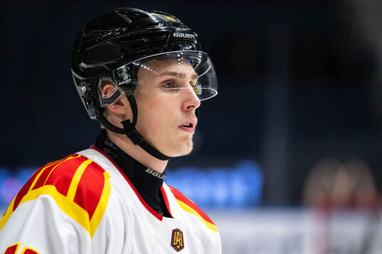 Brynäs Noel Nordh
