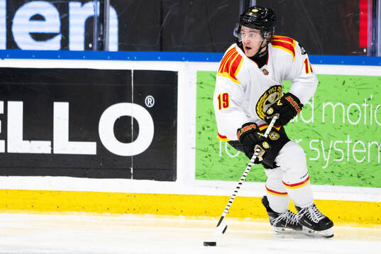 Brynäs Tyler Kelleher