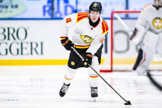 Brynäs Anton Ohlsson