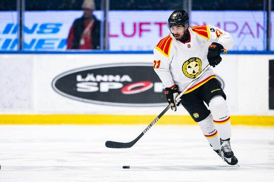 Brynäs Tyler Vesel