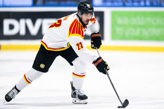 Brynäs Tyler Vesel