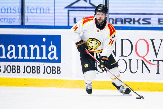 Brynäs Chad Billins