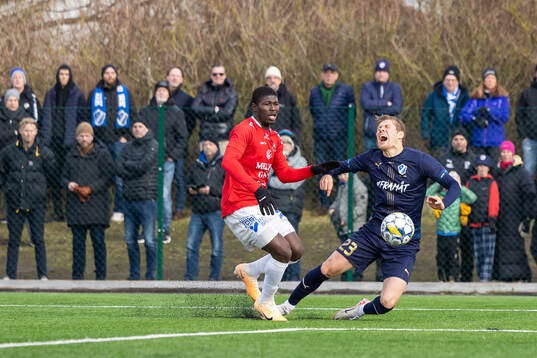 Trelleborgs Abel Ogwuche och Halmstads Birnir Ingason