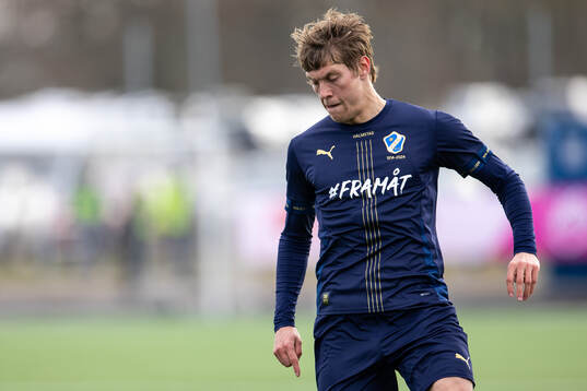 Halmstads Birnir Ingason
