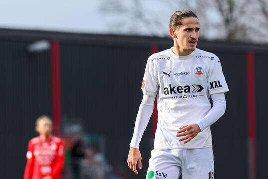 Helsingborgs Ervin Gigovic