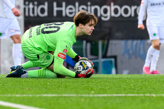 Helsingborgs målvakt Nils Arvidsson