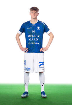 Trelleborgs Karl Wendt 1