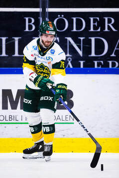 Björklövens Sakke Hämäläinen