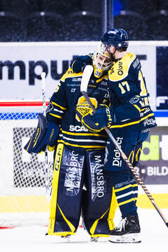 Södertäljes målvakt Tomas Sholl och Amil Krupic jublar