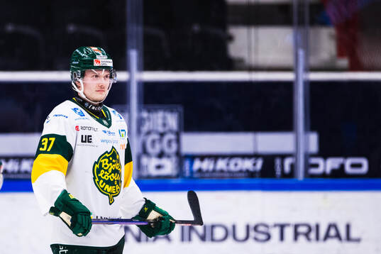Björklövens Lenni Killinen
