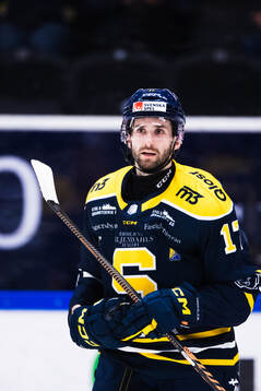 Södertäljes Amil Krupic