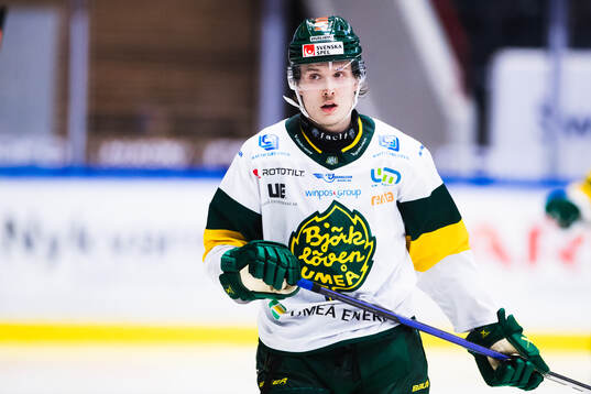 Björklövens Lenni Killinen