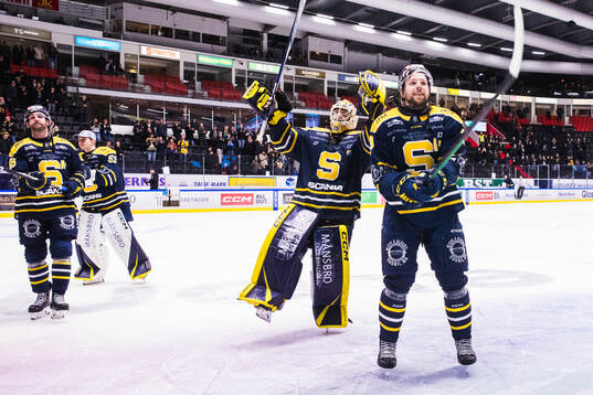 Södertäljes målvakt Tomas Sholl och Emil Alba jublar med