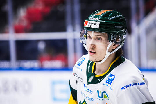 Björklövens Lenni Killinen