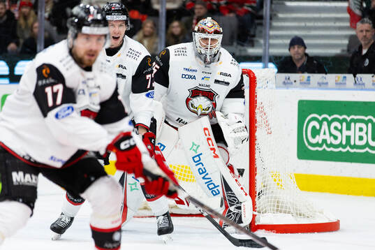 Malmö Redhawks målvakt Adam Werner