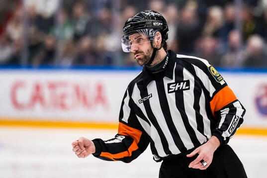 Domare Mikael Sjöqvist