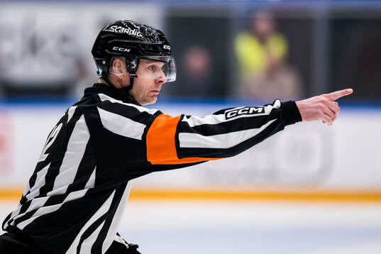 Domare Mikael Andersson