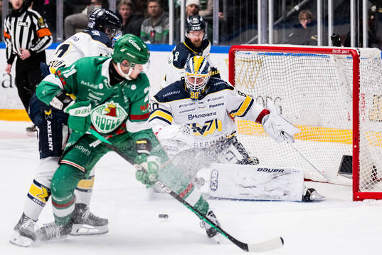 HV71s målvakt Frederik Dichow