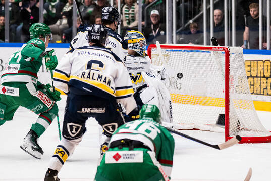 HV71s målvakt Frederik Dichow