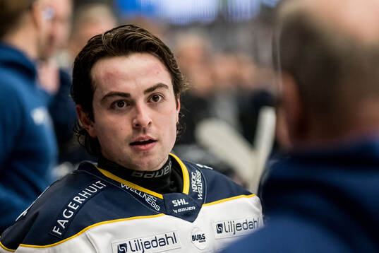 HV71s Robert Nardella