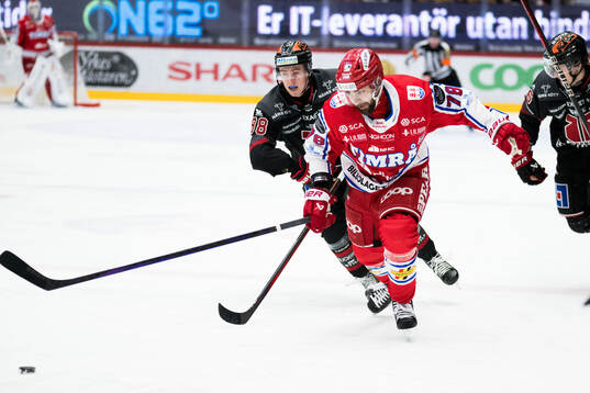 Timrås Robin Hanzl
