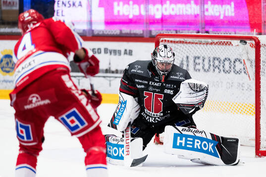 Timrås Emil Pettersson och Örebros Jhonas Enroth