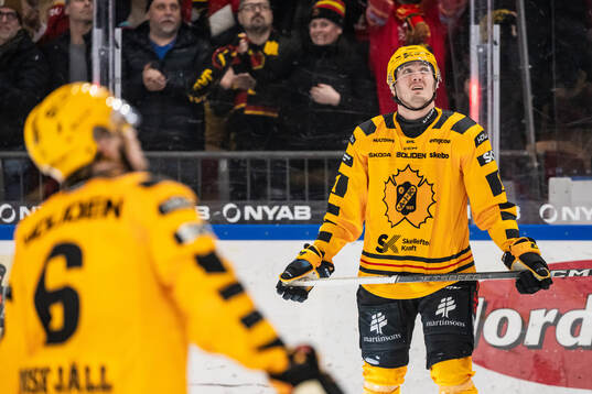 Skellefteås Max Lindholm deppar