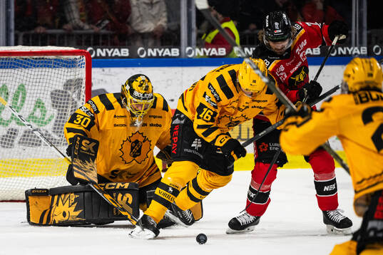 Skellefteås målvakt Gustaf Lindvall, Linus Lindström och