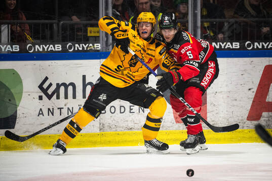 Skellefteås Rickard Hugg och Luleås Marcus Hardegård