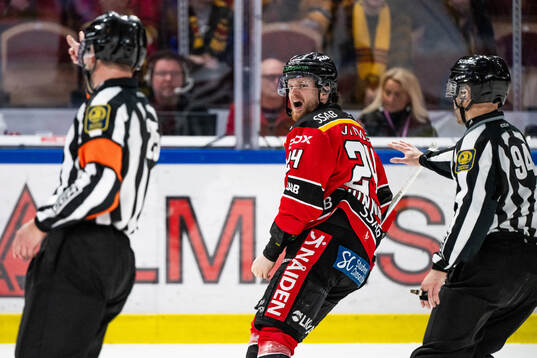 Luleås Brendan Shinnimin reagerar mot en domare