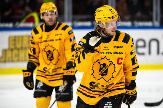 Skellefteås Jonathan Pudas