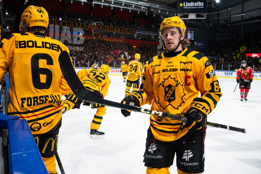 Skellefteås Jonathan Pudas
