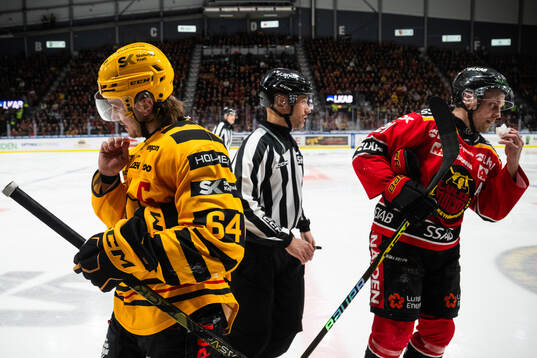 Skellefteås Jonathan Pudas och Luleås Juhani Tyrväinen