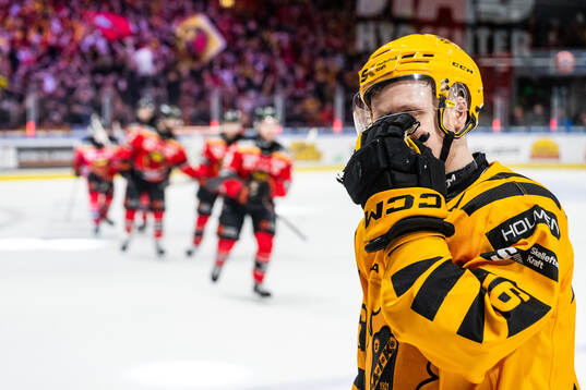 Skellefteås Linus Lindström deppar