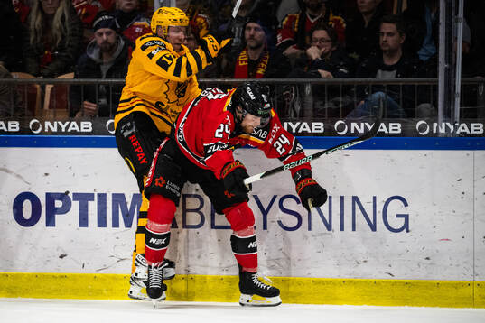 Skellefteås Pär Lindholm och Luleås Brendan Shinnimin