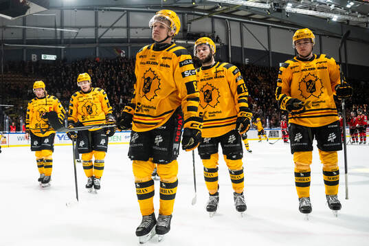 Skellefteås Måns Forsfjäll, Martins Dzierkals och