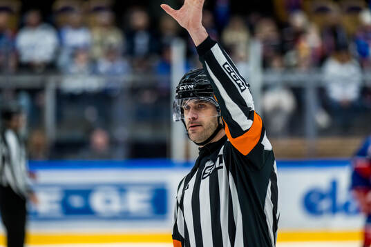 Domare Richard Magnusson