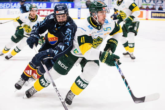 Bläddra bland fler bilder av Ishockey, Hockeyallsvenskan, Djurgården - Björklöven
