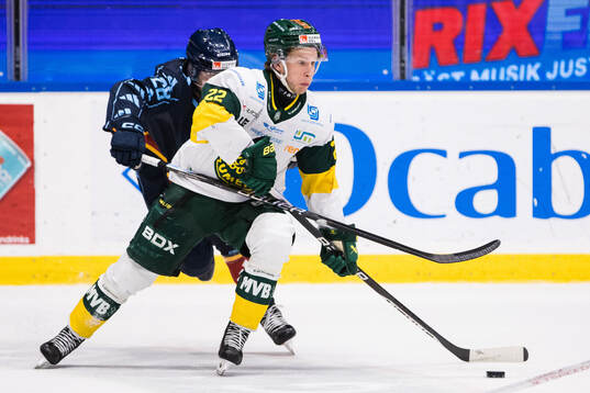 Djurgårdens John Dahlström och Björklövens Fredric